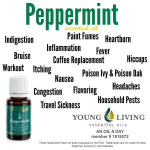 Uses of Peppermint EO