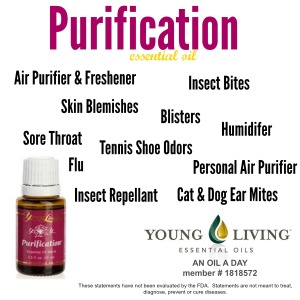 Uses of Purification EO